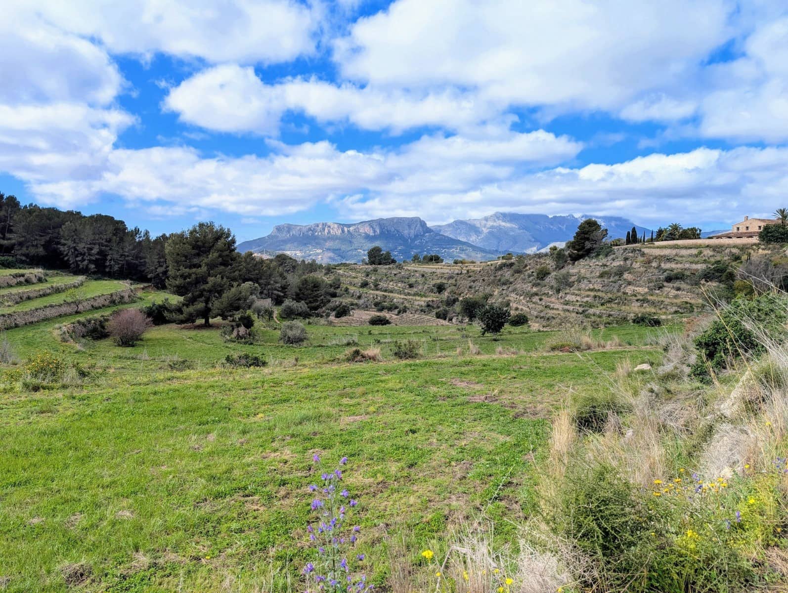 Undeveloped Land for sale in Benissa - € 999,000 (Ref: 9972514)