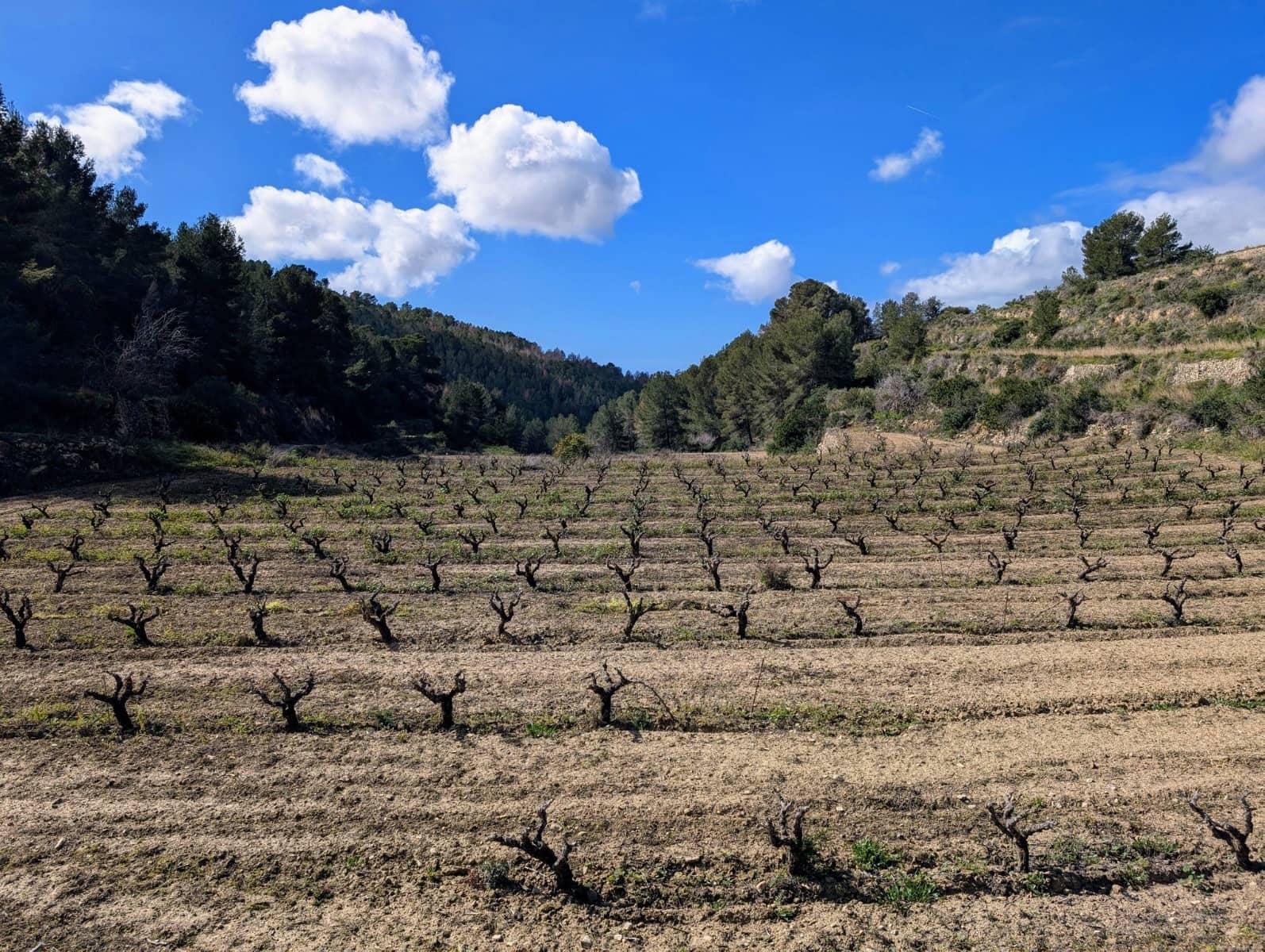 Undeveloped Land for sale in Benissa - € 999,000 (Ref: 9972514)
