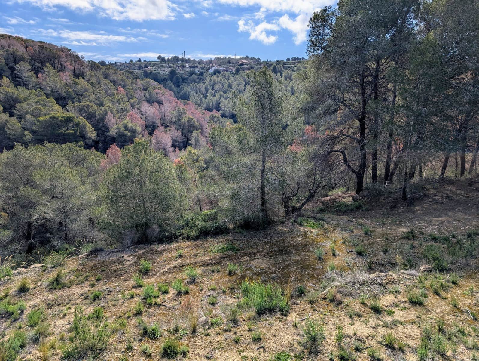 Undeveloped Land for sale in Benissa - € 999,000 (Ref: 9972514)