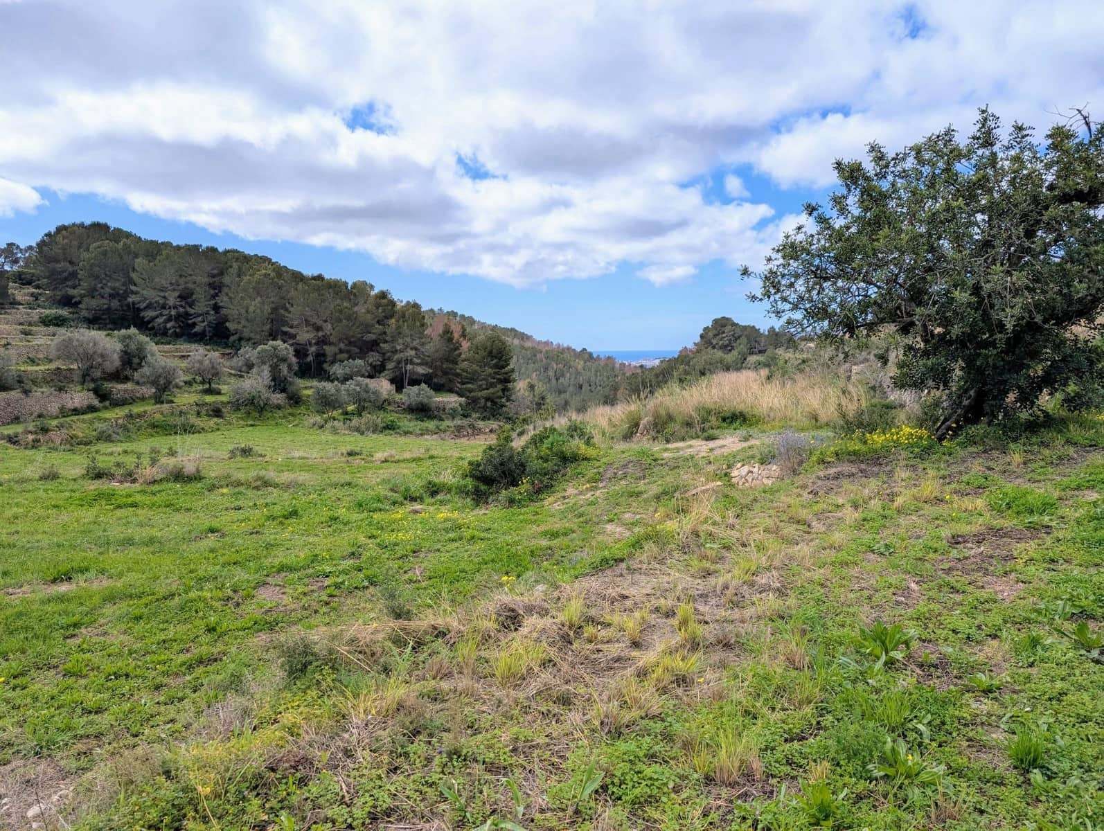 Undeveloped Land for sale in Benissa - € 999,000 (Ref: 9972514)