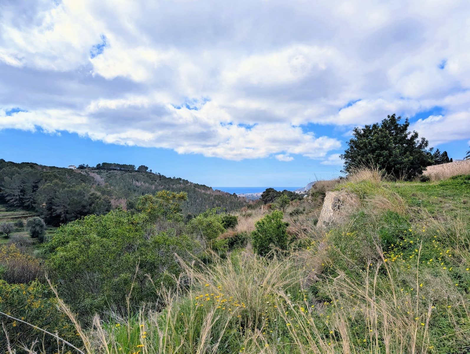 Undeveloped Land for sale in Benissa - € 999,000 (Ref: 9972514)