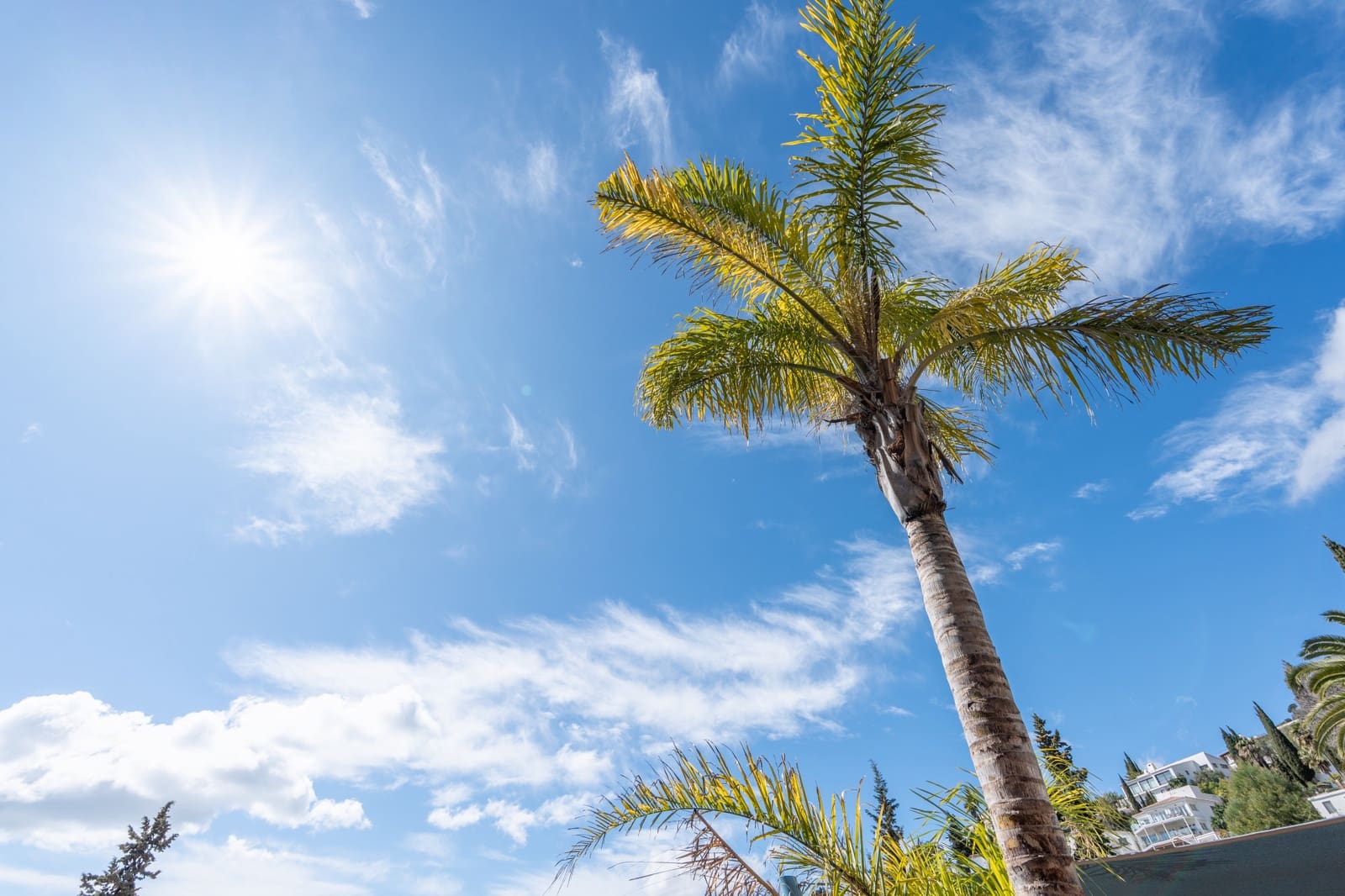 4 soverom Villa til salgs i Mijas med svømmebasseng garasje - € 2 500 000 (Ref: 9707501)