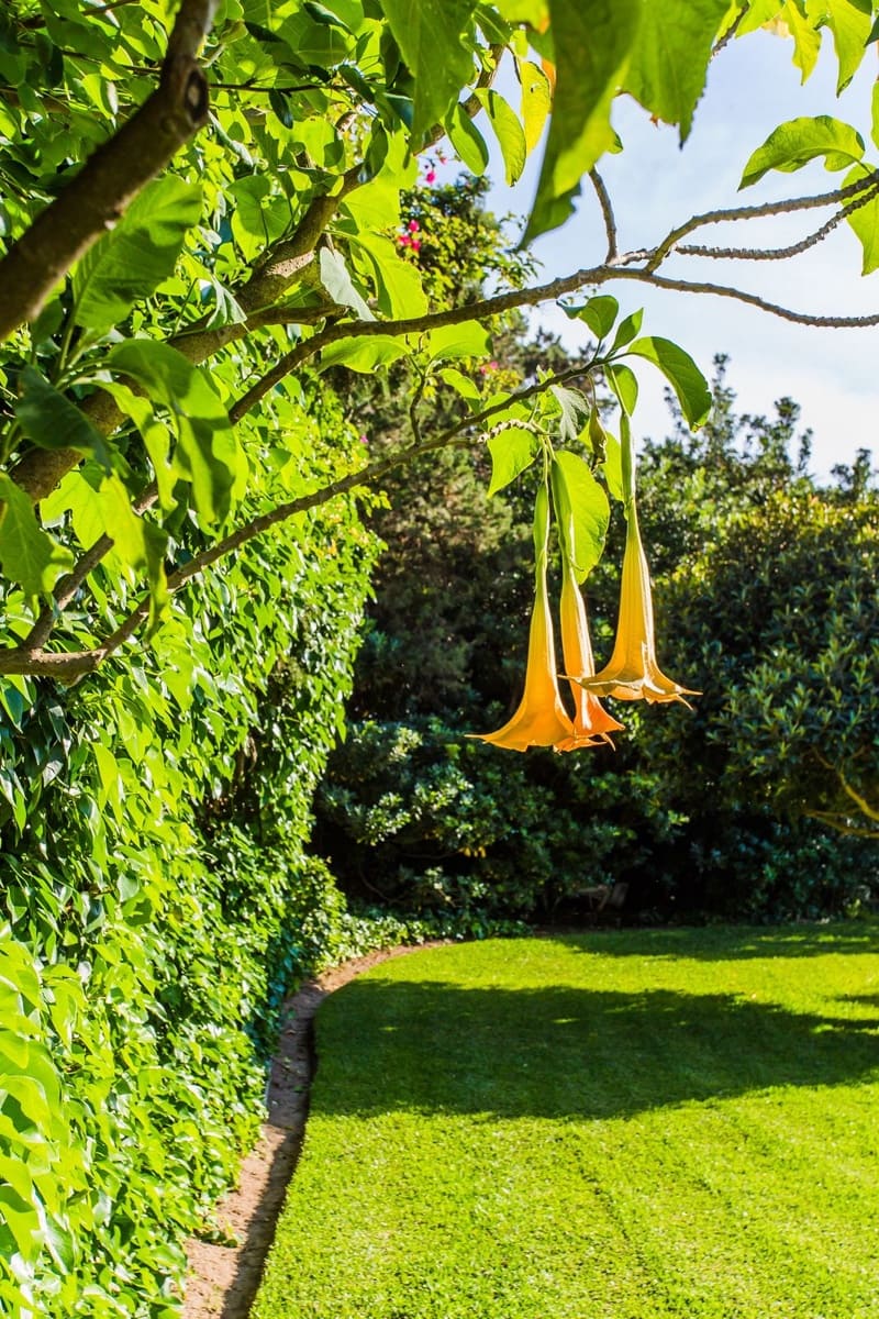 1 chambre Appartement à vendre à Marbesa avec piscine - 299 000 € (Ref: 8722771)