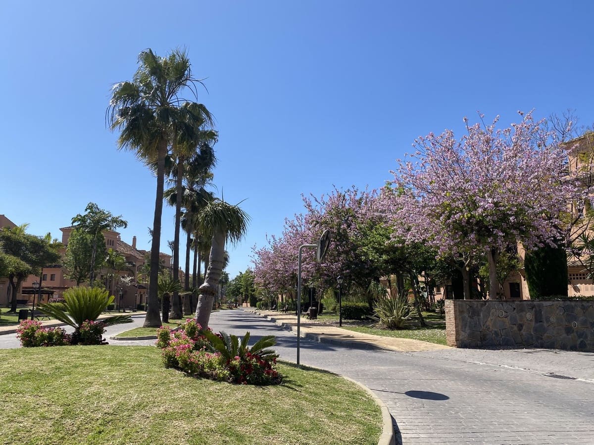 3 soveværelse Lejlighed til salg i Atalaya-Isdabe med swimmingpool - € 685.000 (Ref: 8880294)