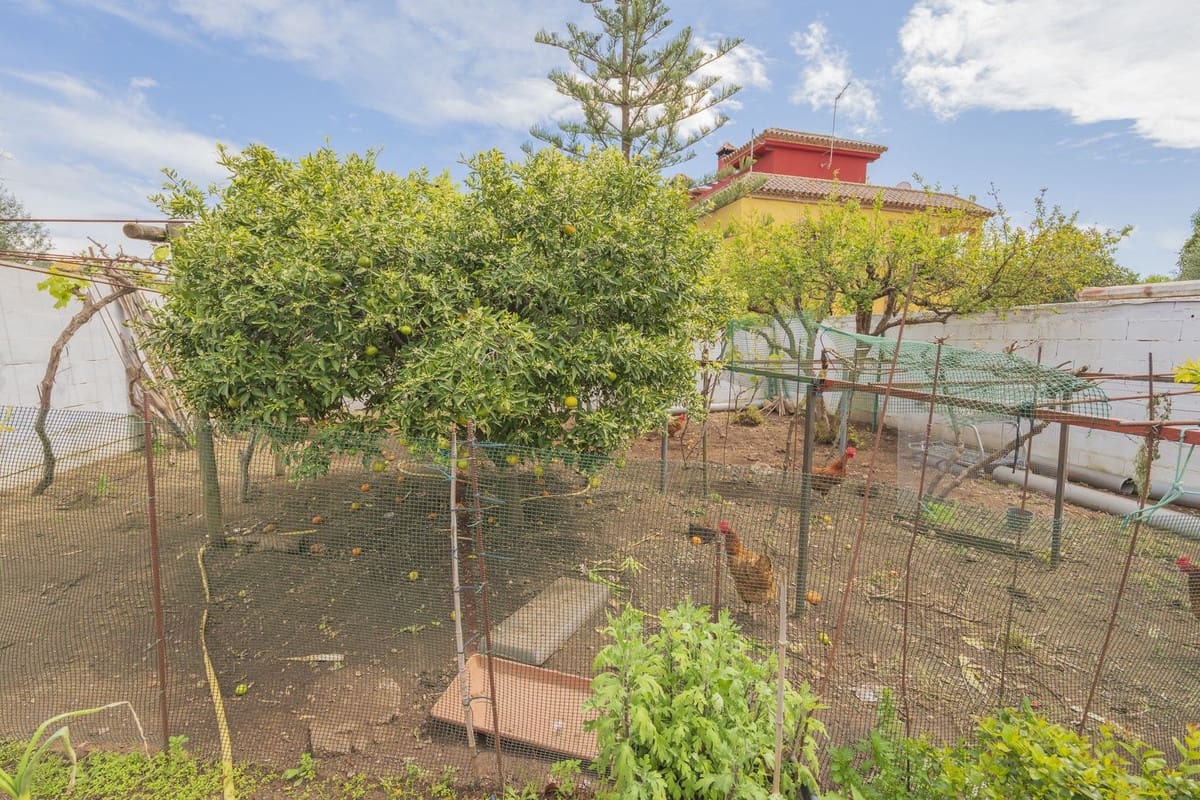 3 soveværelse Villa til salg i Las Chapas med swimmingpool - € 970.000 (Ref: 8916210)