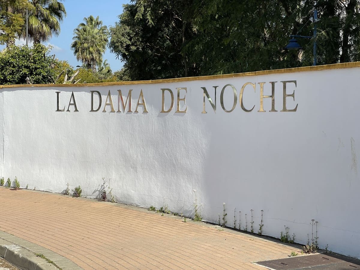 2 soveværelse Penthouse til salg i Nueva Andalucia med swimmingpool - € 550.000 (Ref: 8938950)