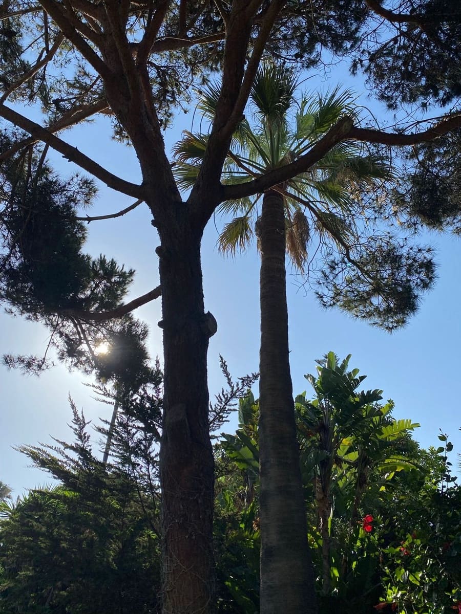 4 camera da letto Villa in vendita in Guadalmansa con piscina - 2.200.000 € (Rif: 9015127)