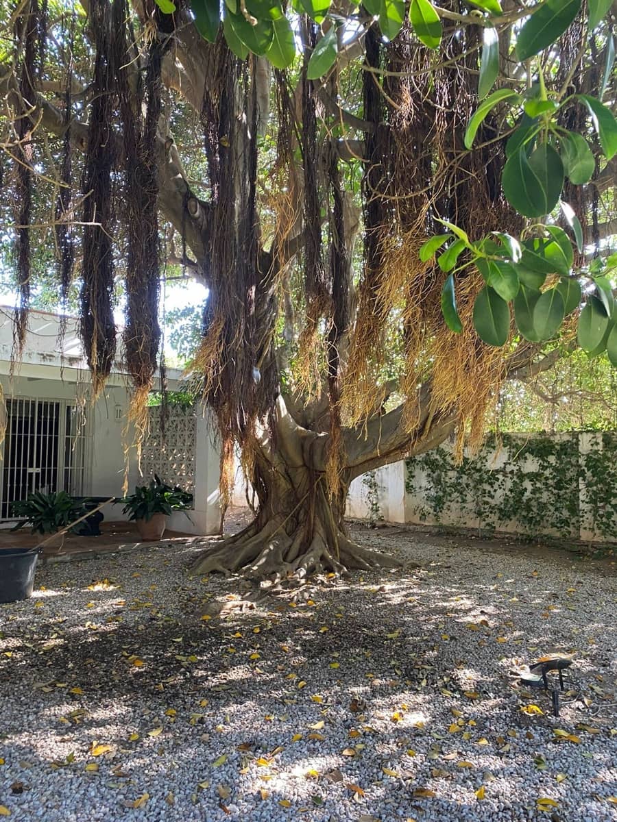 4 camera da letto Villa in vendita in Guadalmansa con piscina - 2.200.000 € (Rif: 9015127)