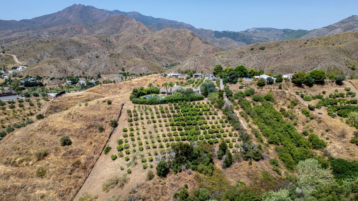 3 camera da letto Appartamento in vendita in Mijas con piscina - 1.150.000 € (Rif: 9509004)