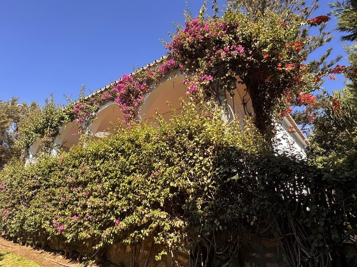 3 bedroom Villa for sale in Marbesa with pool - € 1,800,000 (Ref: 9586802)