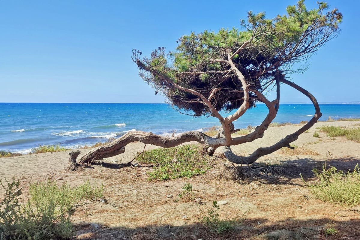 4 sypialnia Apartament na sprzedaż w Estepona z basenem - 1 300 000 € (Ref: 9748234)