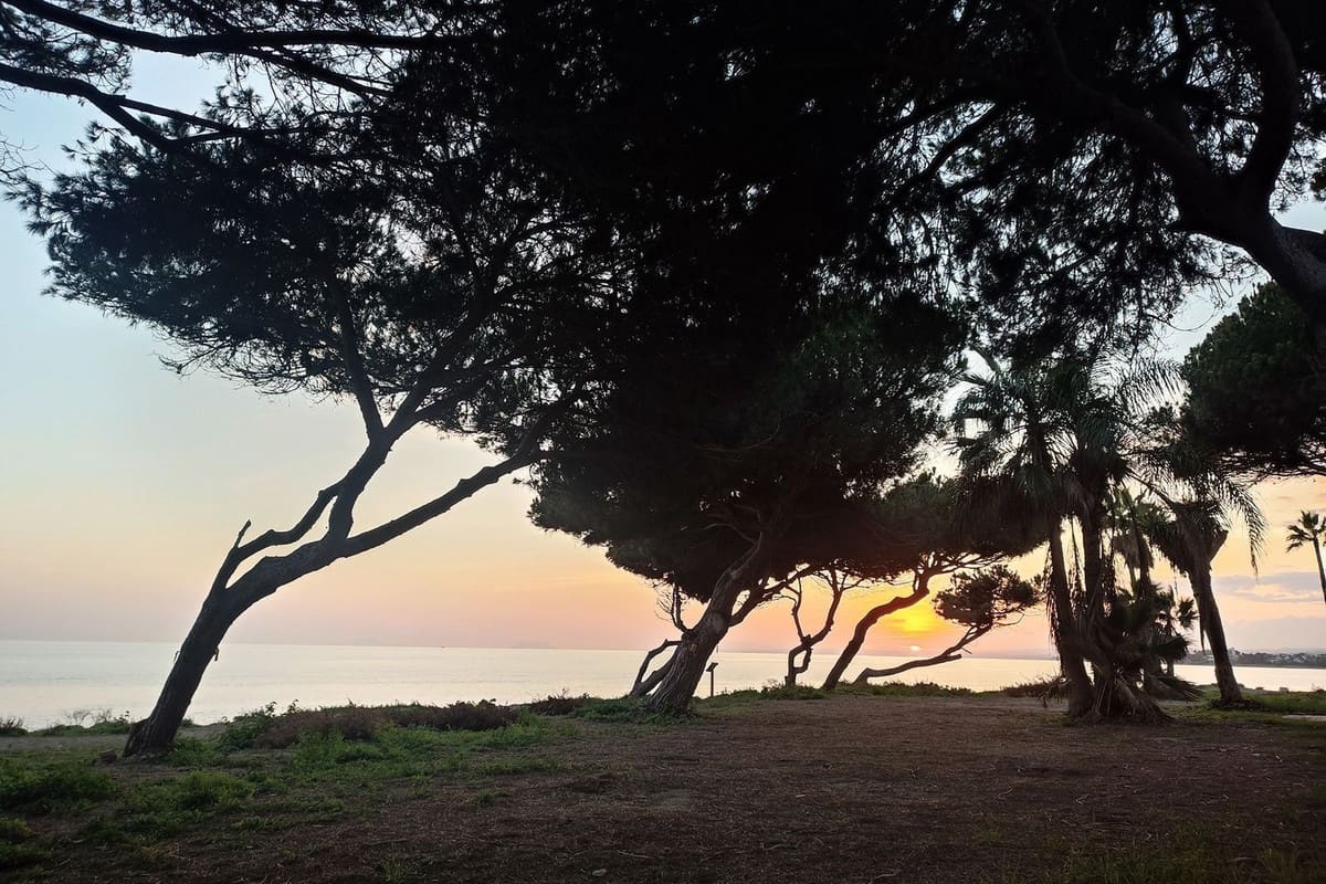 4 sypialnia Apartament na sprzedaż w Estepona z basenem - 1 300 000 € (Ref: 9748234)