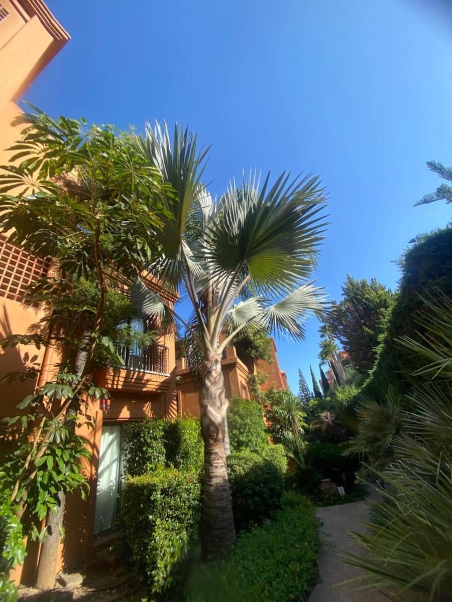 2 slaapkamer Appartement te koop in Atalaya-Isdabe met zwembad - € 449.000 (Ref: 9813929)