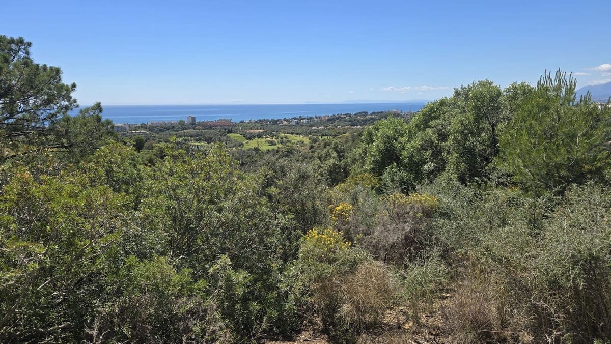 7 bedroom Villa for sale in El Rosario with pool - € 3,500,000 (Ref: 9922605)