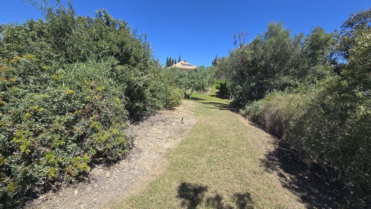 7 bedroom Villa for sale in El Rosario with pool - € 3,500,000 (Ref: 9922605)