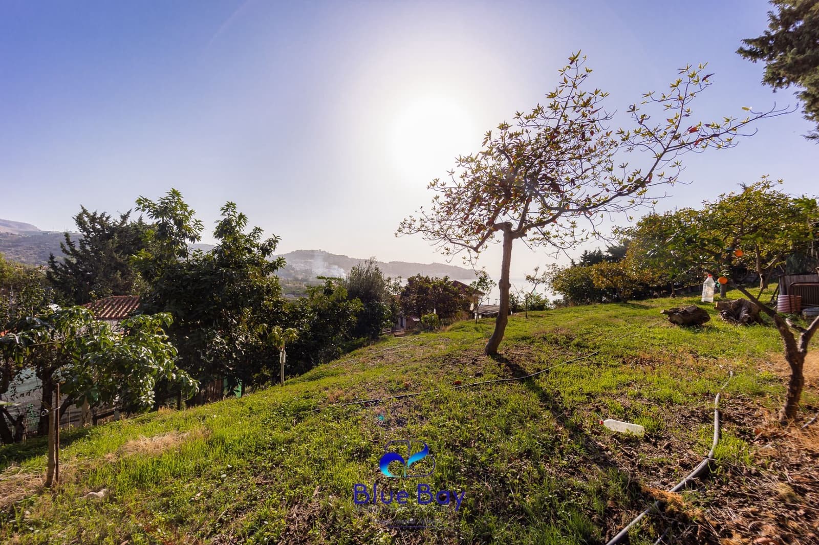 5 bedroom Villa for sale in La Herradura with pool garage - € 2,500,000 (Ref: 8750205)