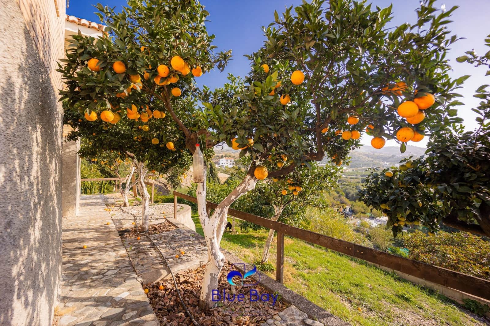 5 bedroom Villa for sale in La Herradura with pool garage - € 2,500,000 (Ref: 8750205)