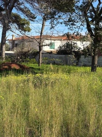 Terreno/Finca Rústica en Dénia en venta - 736.000 € (Ref: 10116019)