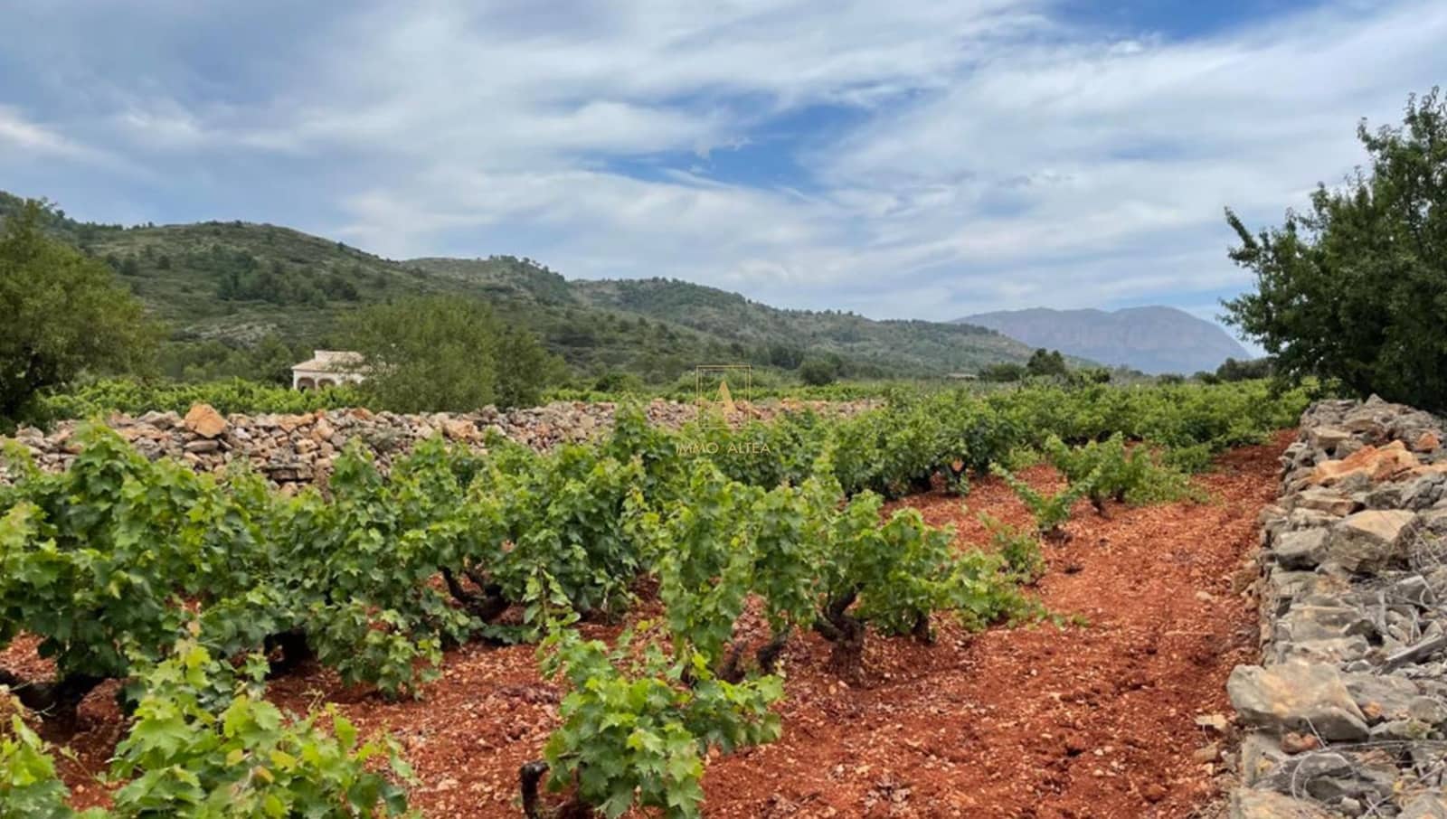 Ubebygd land til salgs i Lliber - € 195 000 (Ref: 7320405)