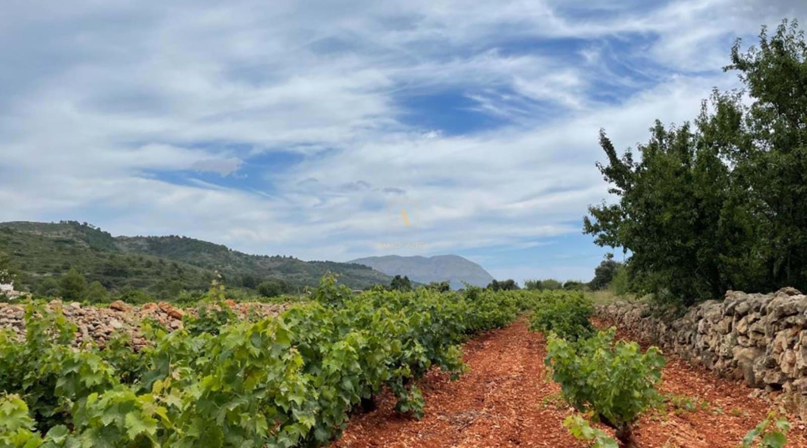 Ubebygd land til salgs i Lliber - € 195 000 (Ref: 7320405)