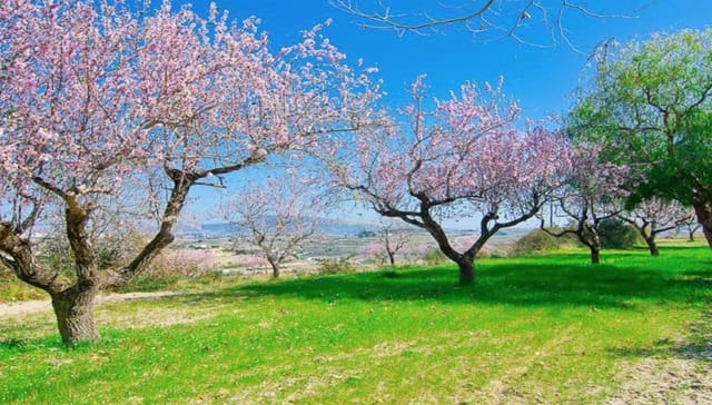 6 makuuhuone Huvila myytävänä paikassa Benissa - 1 750 000 € (Ref: 7321658)