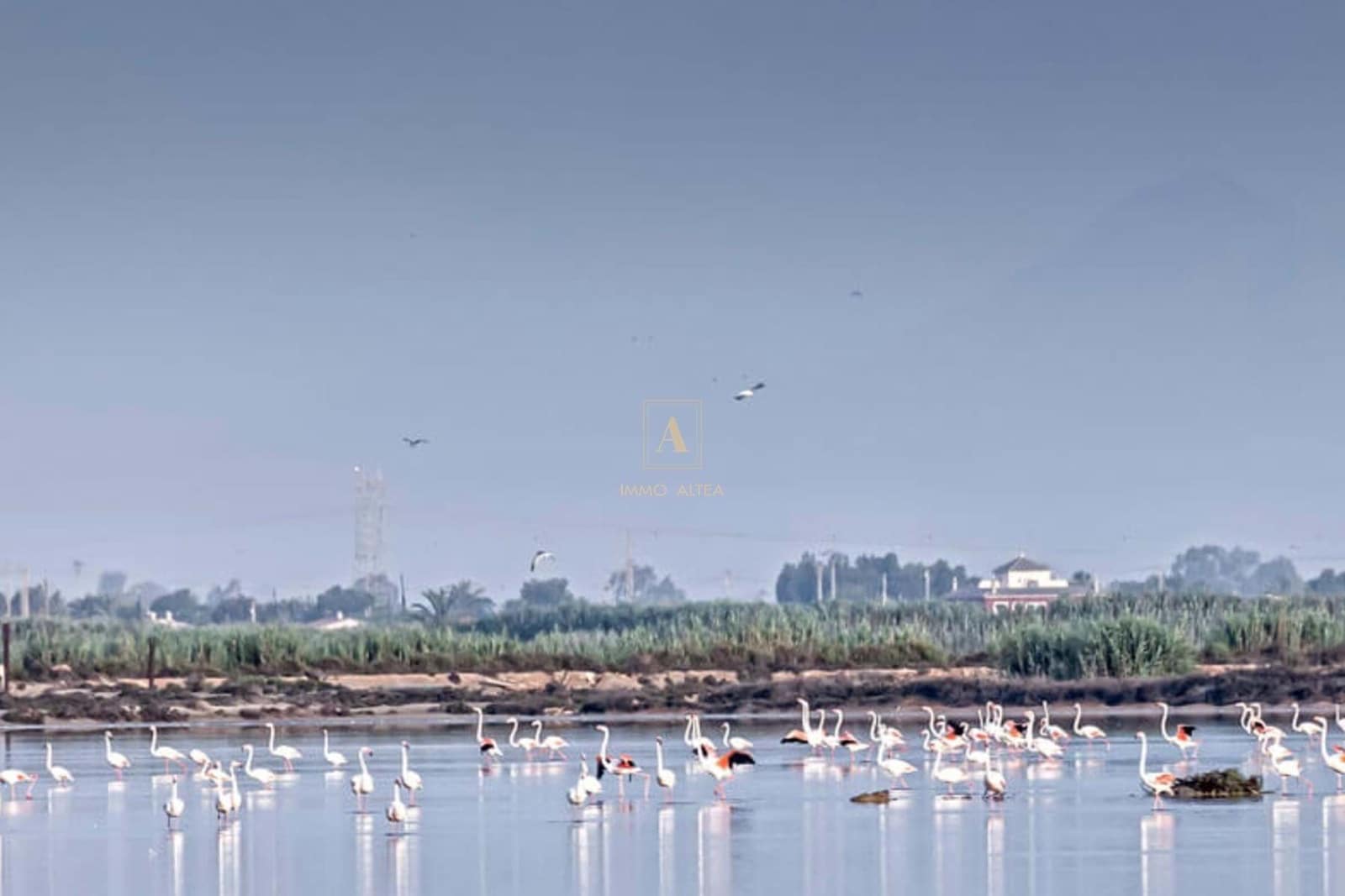 4 bedroom Villa for sale in Elche / Elx - € 510,000 (Ref: 7321857)