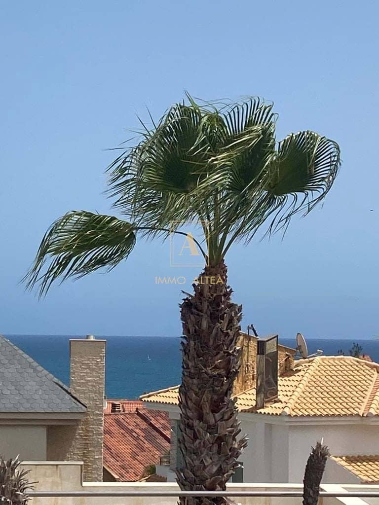 3 soveværelse Villa til salg i Alicante by med swimmingpool garage - € 1.600.000 (Ref: 7945427)