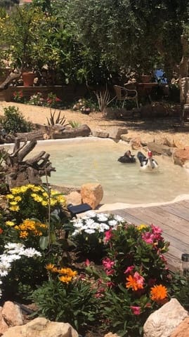 1 quarto Casa em Banda para venda em Polop - 235 000 € (Ref: 9263386)