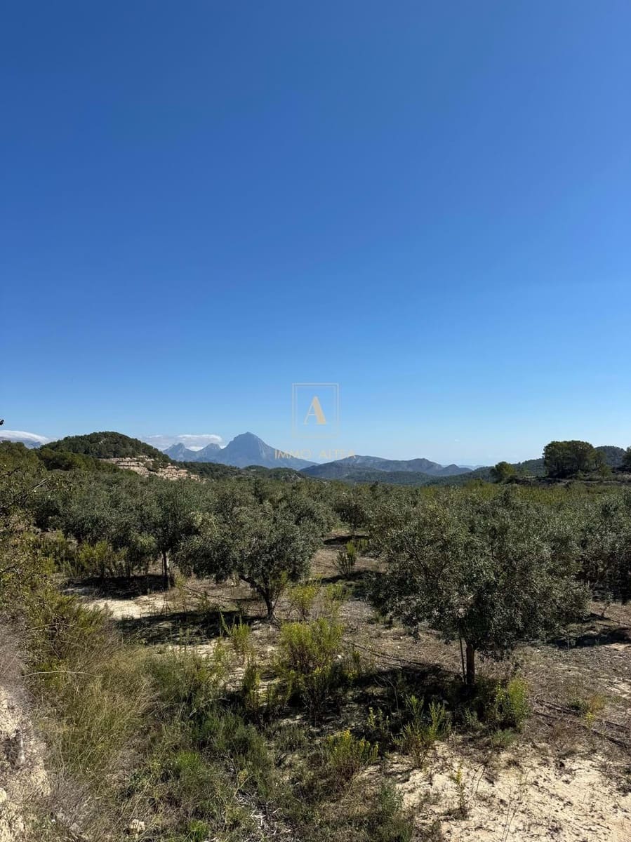 Finca/Country House for sale in Relleu with garage - € 800,000 (Ref: 9308742)