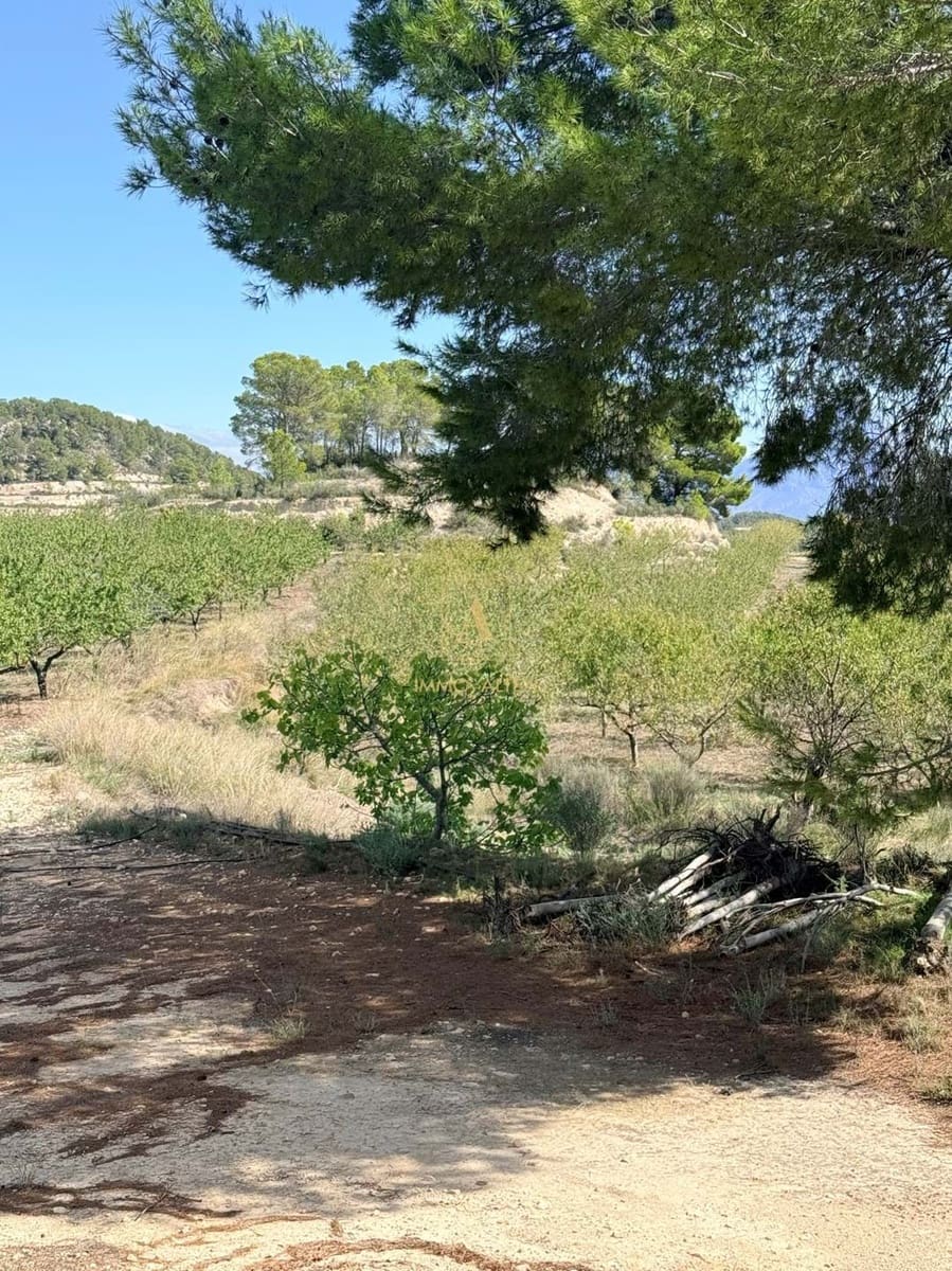 Finca/Country House for sale in Relleu with garage - € 800,000 (Ref: 9308742)