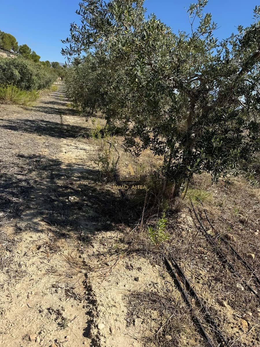 Finca/Country House for sale in Relleu with garage - € 800,000 (Ref: 9308742)