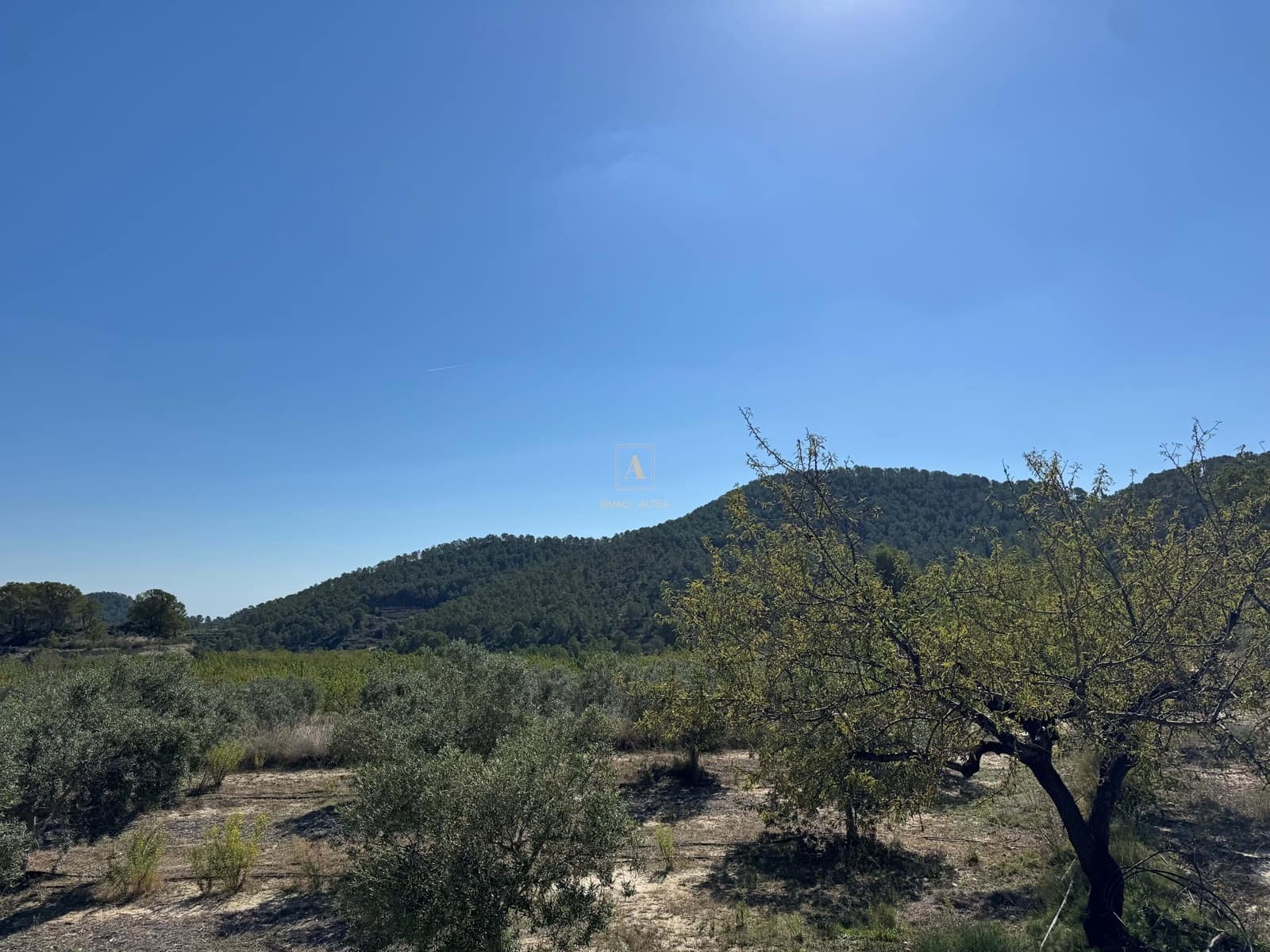 Finca/Country House for sale in Relleu with garage - € 800,000 (Ref: 9308742)