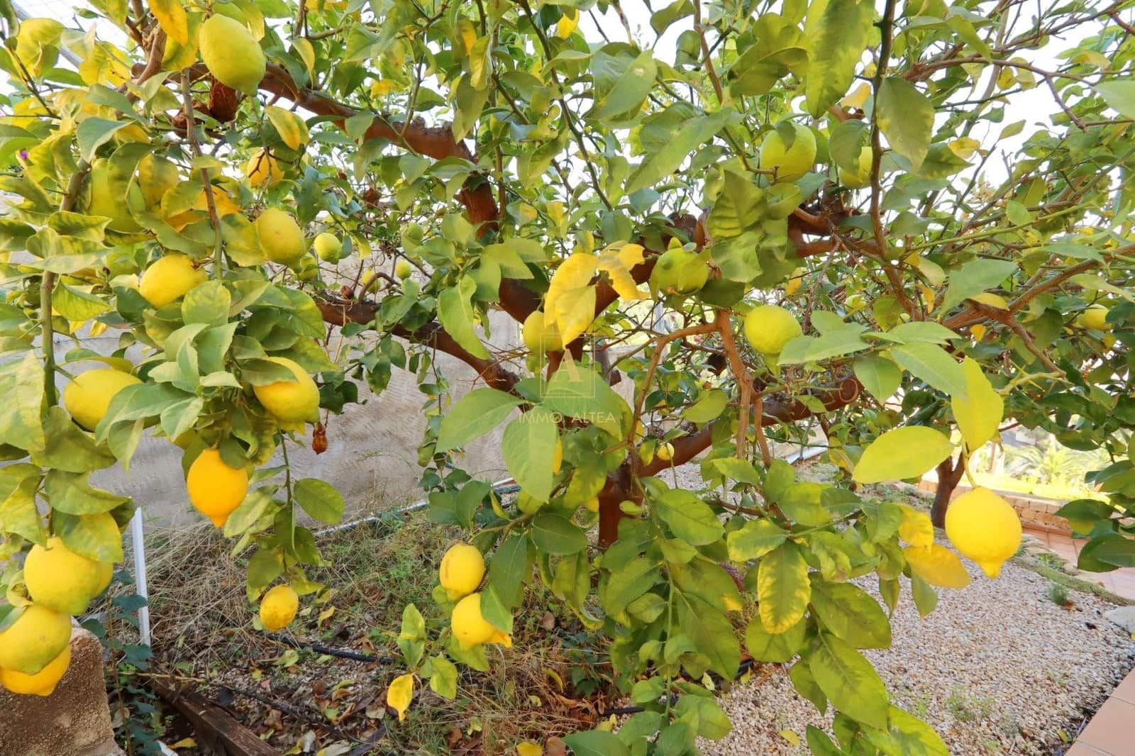 5 sovrum Villa till salu i Alicante stad med garage - 2 000 000 € (Ref: 9566839)