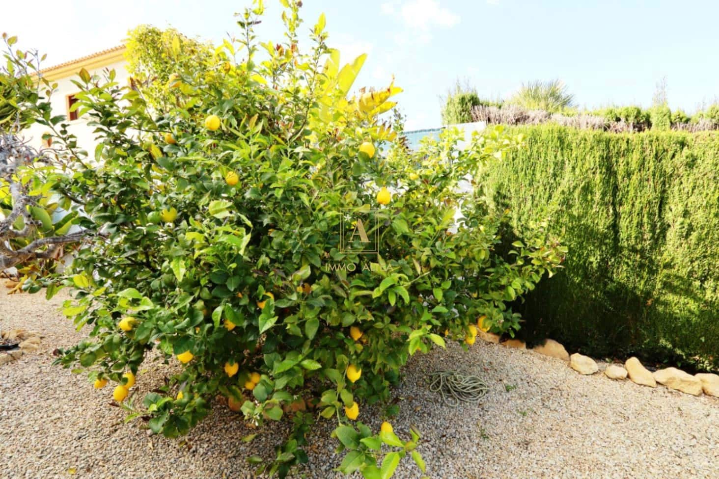 5 chambre Villa/Maison à vendre à Alicante ville avec garage - 795 000 € (Ref: 9566848)