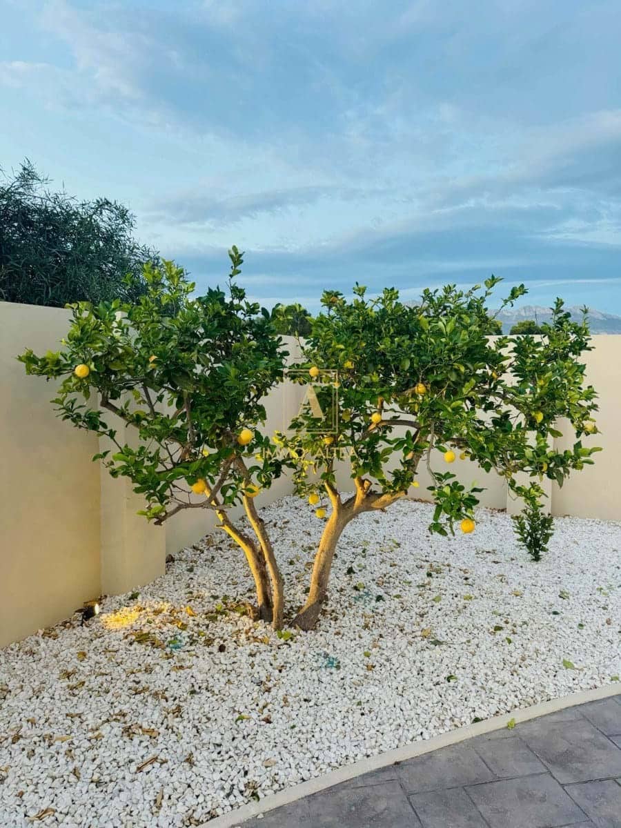 4 makuuhuone Huvila myytävänä paikassa Alicante kaupunki mukana uima-altaan 
autotalli - 1 195 000 € (Ref: 9566880)