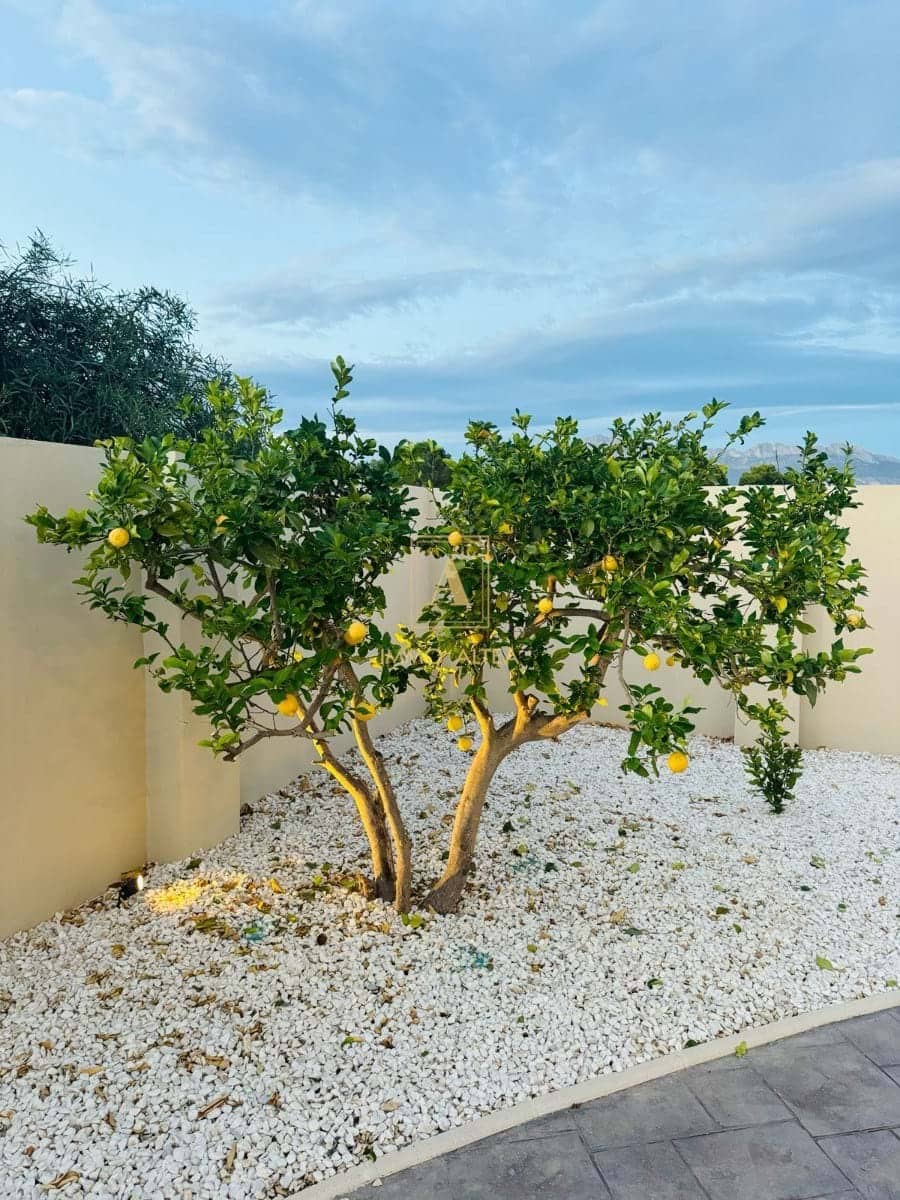 4 makuuhuone Huvila myytävänä paikassa Alicante kaupunki mukana uima-altaan 
autotalli - 1 195 000 € (Ref: 9566880)