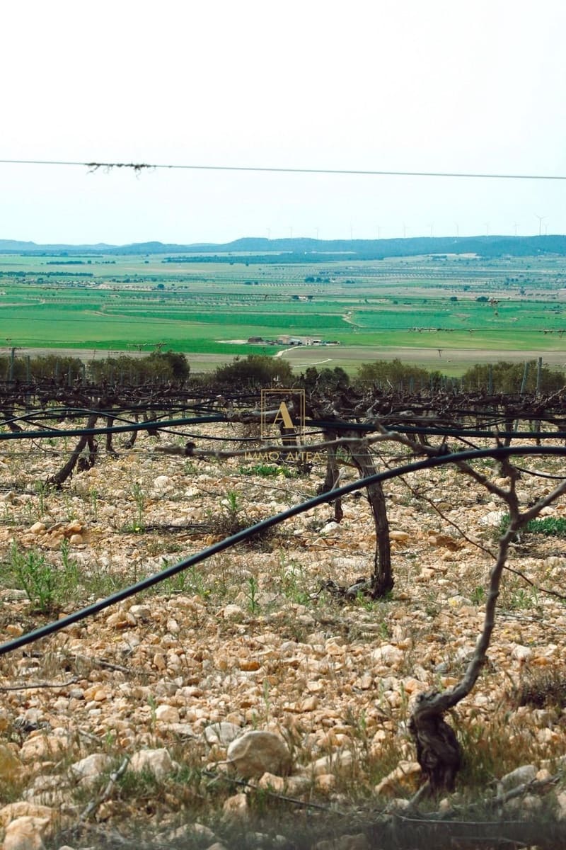 6 sovrum Villa till salu i Yecla med pool - 800 000 € (Ref: 9567016)