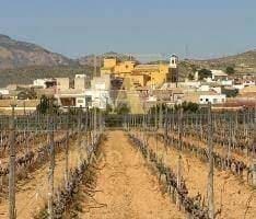 3 Zimmer Villa zu verkaufen in Hondon de las Nieves - 215.000 € (Ref: 9567039)