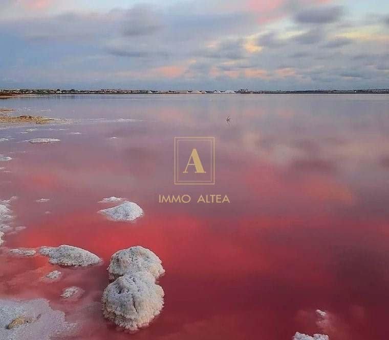 2 sypialnia Willa na sprzedaż w Torrevieja z basenem - 330 000 € (Ref: 9567120)