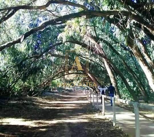 2 quarto Moradia para venda em Torrevieja com piscina - 274 900 € (Ref: 9567314)