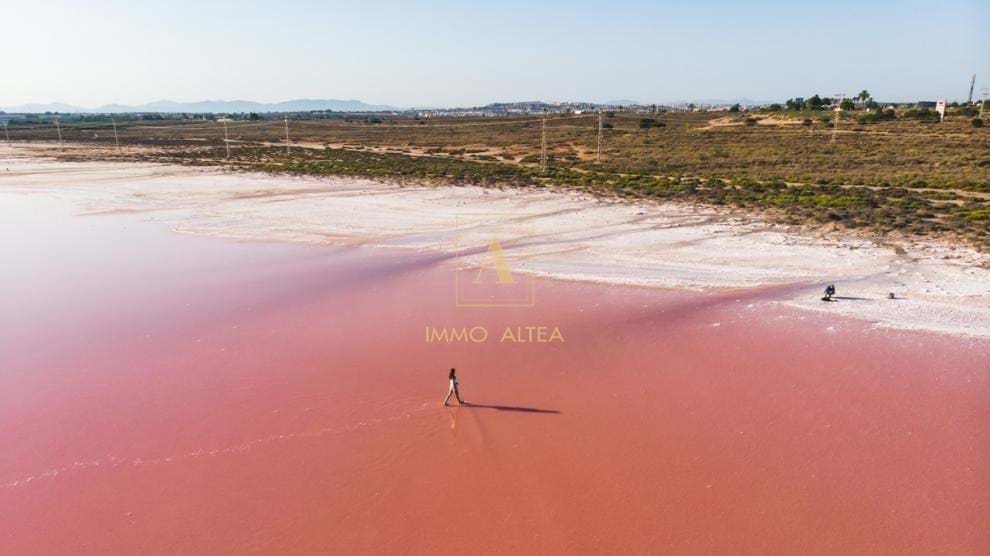 1 soveværelse Penthouse til salg i Torrevieja med swimmingpool - € 425.950 (Ref: 9721062)