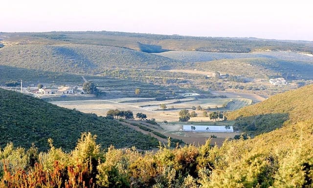 8 bedroom Guesthouse/B & B for sale in Montesa with pool garage - € 1,300,000 (Ref: 8424334)