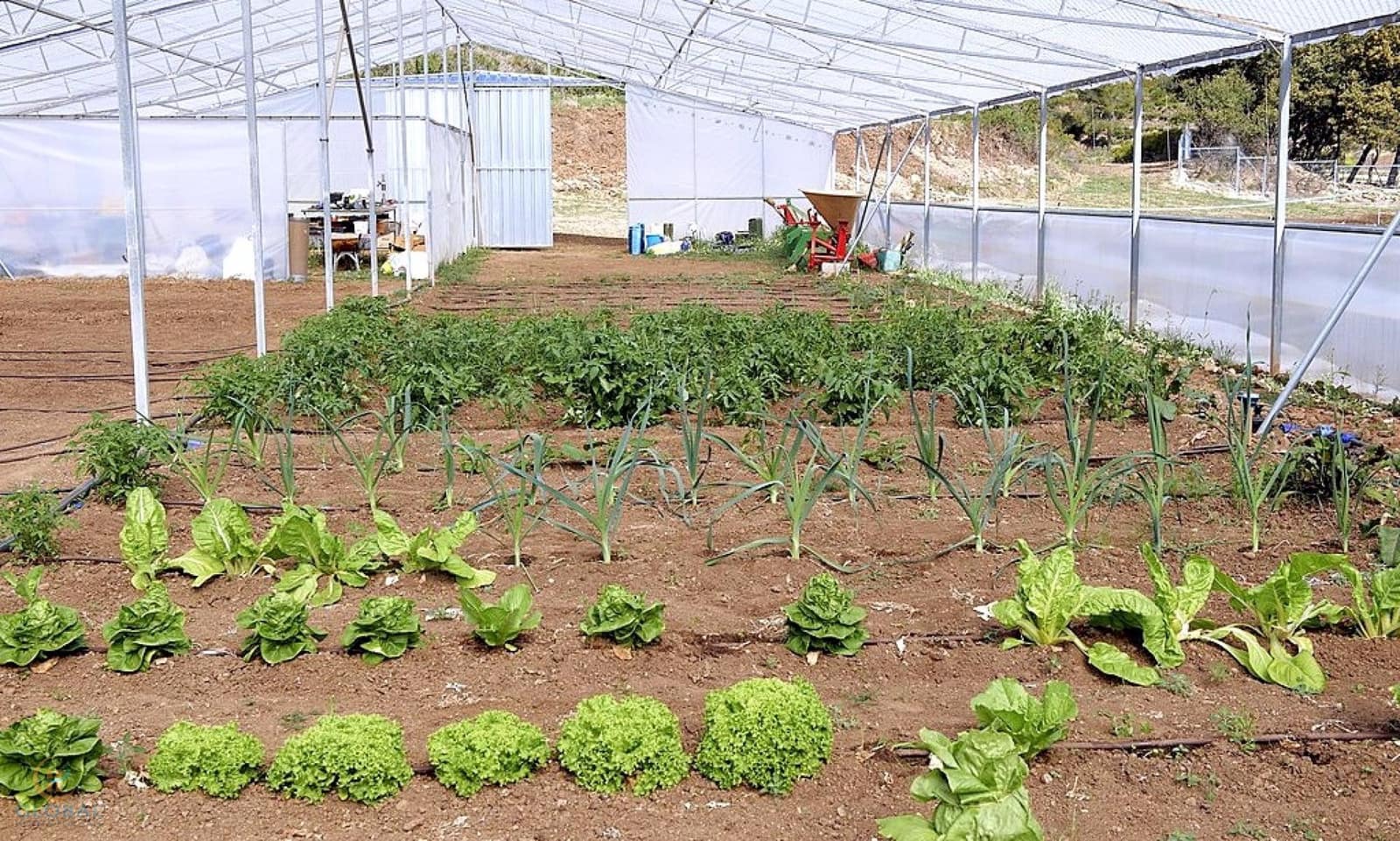 8 soveværelse Guesthouse/B & B til salg i Montesa med swimmingpool garage - € 1.300.000 (Ref: 8424334)