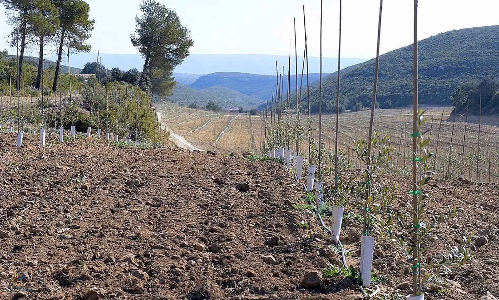 8 soveværelse Guesthouse/B & B til salg i Montesa med swimmingpool garage - € 1.300.000 (Ref: 8424334)