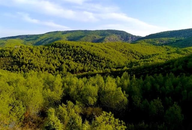 6 bedroom Guesthouse/B & B for sale in Sitges with pool - € 450,000 (Ref: 8489619)