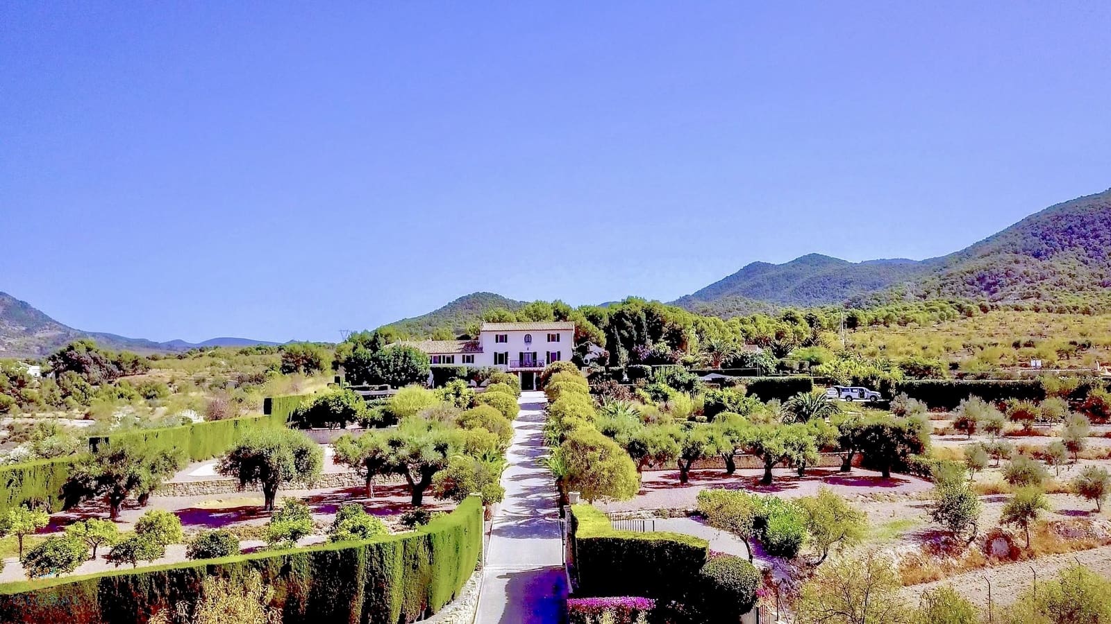 17 bedroom Hotel for sale in Alicante / Alacant city with pool garage - € 4,600,000 (Ref: 9793234)