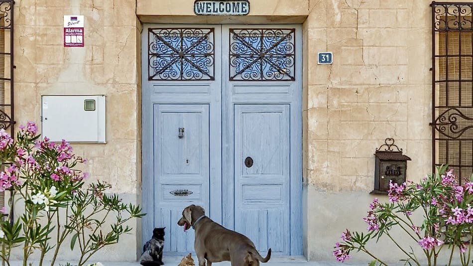 9 bedroom Guesthouse/B & B for sale in Pinoso with pool - € 1,225,000 (Ref: 9877116)