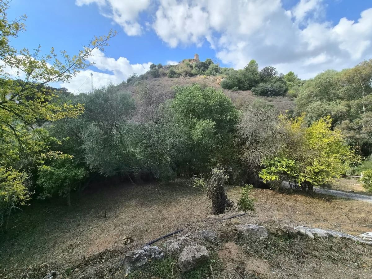 3 sovrum Finca/Hus på landet till salu i Alhaurin el Grande med garage - 319 000 € (Ref: 10160279)