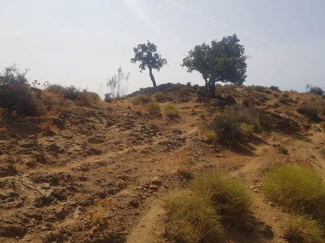 Undeveloped Land for sale in Valtocado, Mijas - € 955,000 (Ref: 6754180)