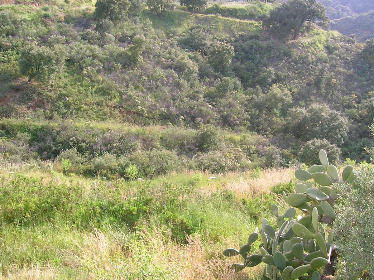 Terreno/Finca Rústica en La Cala de Mijas en venta - 900.000 € (Ref: 6969495)